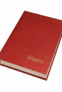 Bibel konstskinn normal