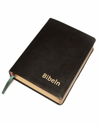 Bibel svart skinn