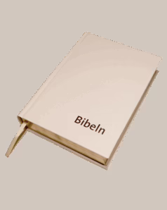 Bibel vigsel vit