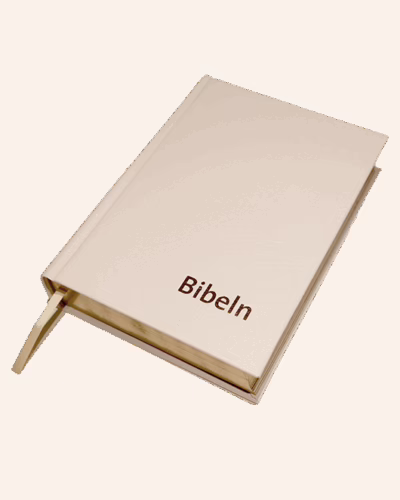 Bibel vigsel vit