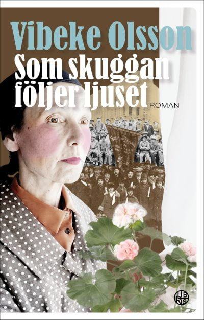 Bok Som skuggan följer ljuset