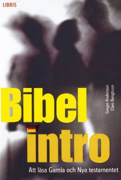 Bok Bibelintro Libris förlag