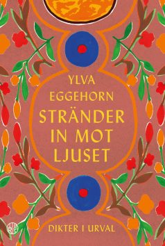 Stränder in mot ljuset, bok av Ylva Eggehorn