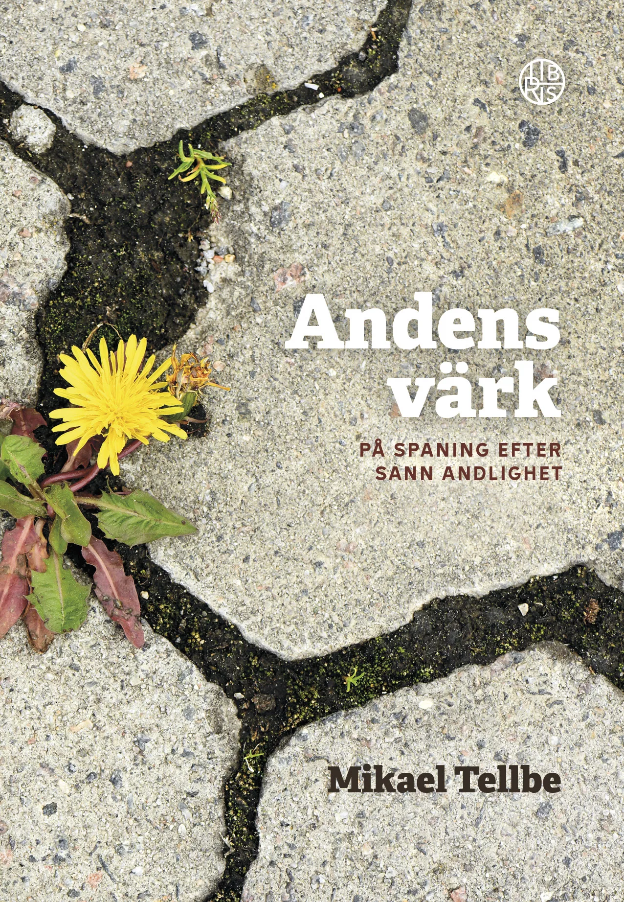 Spangen by Stadsontwikkeling - Issuu