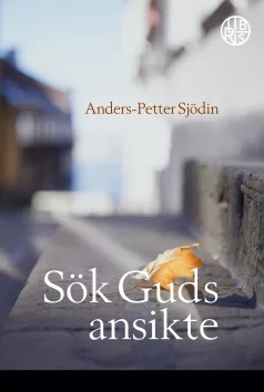 Sök Guds ansikte, Författare, Anders-Petter Sjödin