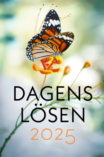 Dagens lösen 2025