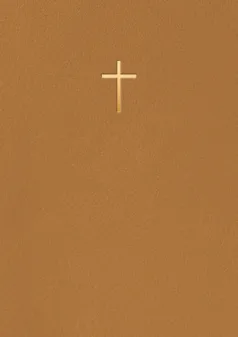 Bibel 2026 – Bärnsten konstskinn