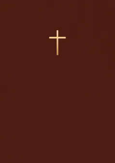 Bibel 2026 – Mörkbrun konstskinn