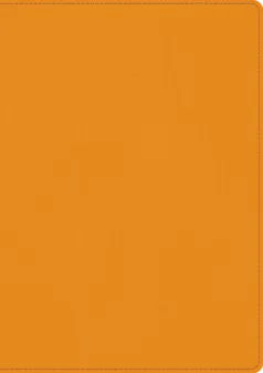 Skrivbok A5 PU linjerad orange